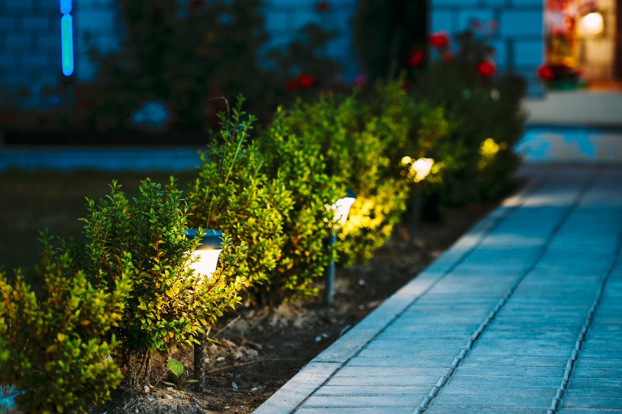 A well-maintained outdoor pathway bordered by neatly trimmed green shrubs illuminated by solar-powered garden lights. The lights cast a warm glow, creating an inviting ambiance against the backdrop of a home with visible automation features, such as subtle lighting in the background, suggesting a modern and energy-efficient outdoor setup.